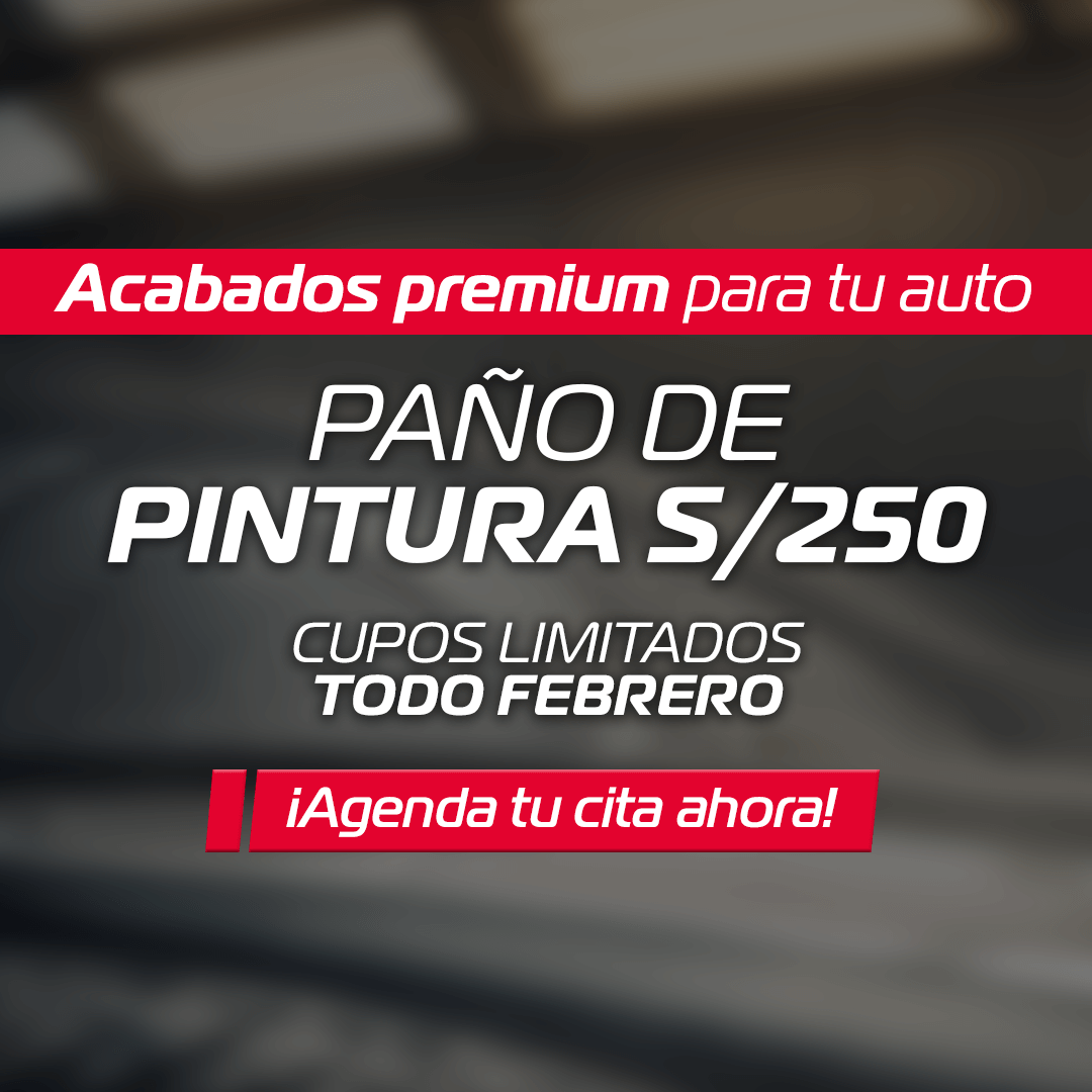 Paño de pintura S/250